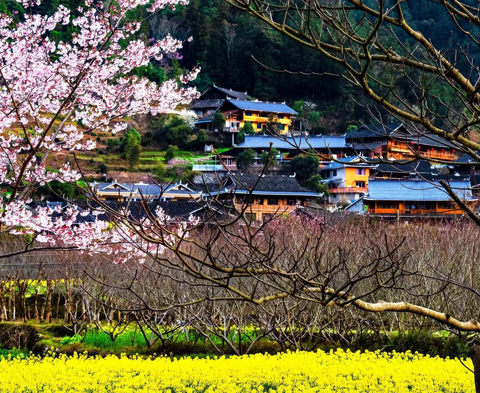 Xinhua · Spring